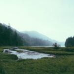 A winding river through a misty forest.