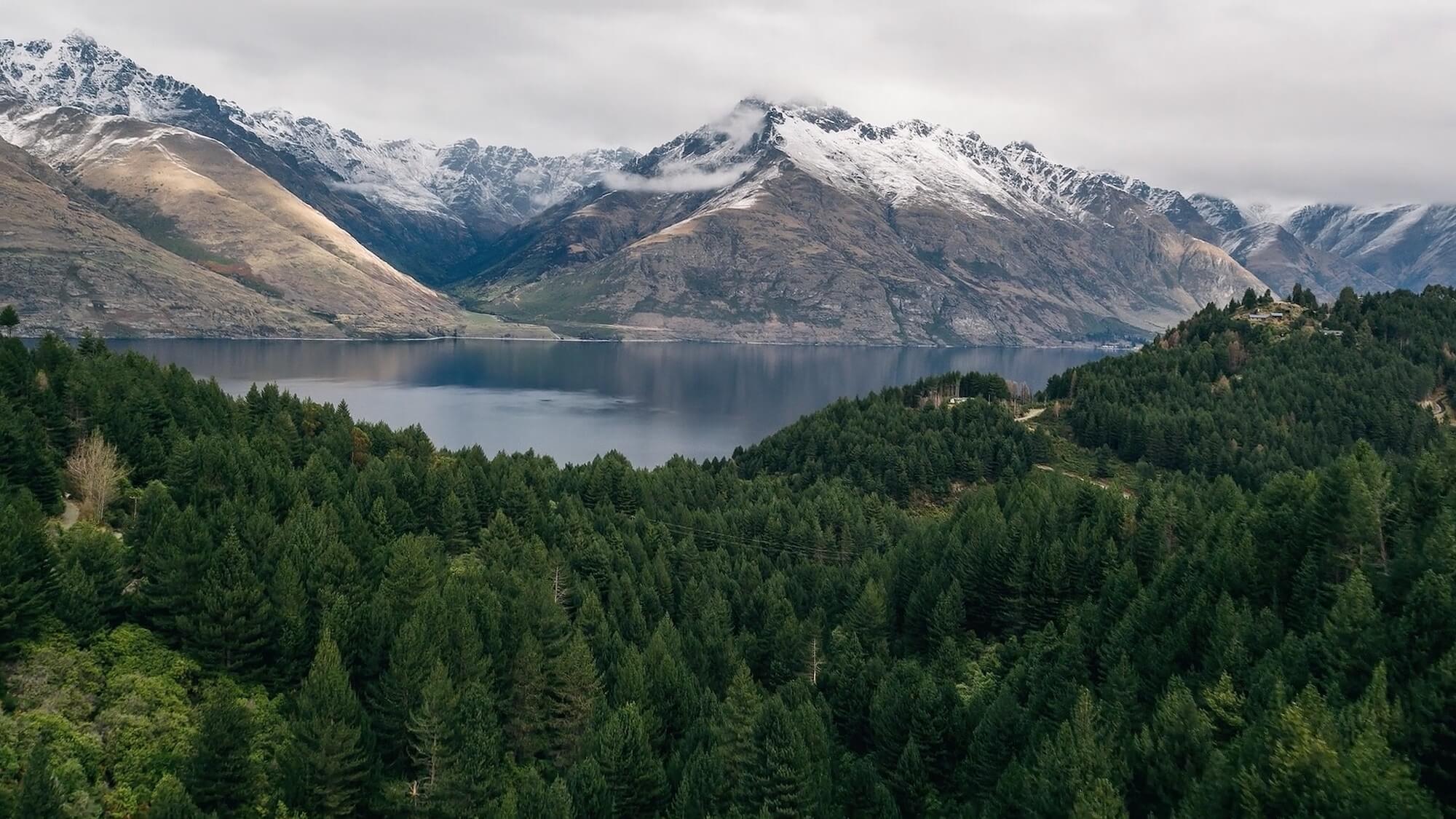 Forest and mountains with snowy peaks.